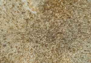 Monarch Specialties Accent Table - Handcrafted Scalloped Drum Design for Elegant Living Room or Bedroom Decor, Iron Metal GOLD 20 L x 20 W x 22 H I 3902