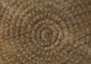 Monarch Specialties Accent Table - Handcrafted Drum Design for Living Room or Bedroom - Stylish, Space-Saving Home Decor COPPER 20 L x 20 W x 22 H 