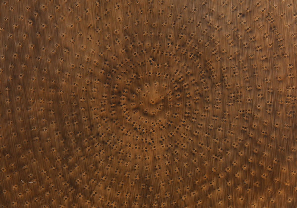 Monarch Specialties Accent Table - Stylish Drum-Shaped Design for Living Room, Bedroom, or End Table Use - Modern Decor COPPER 20 L x 20 W x 22 H 