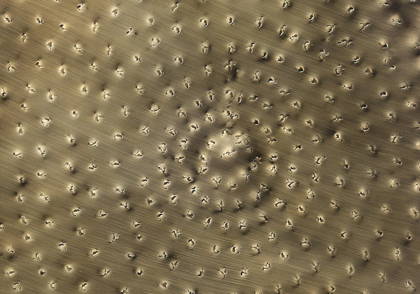 Monarch Specialties Accent Table – Modern Hand-Crafted Hourglass Design for Glam Living Room or Bedroom Décor GOLD 20 L x 20 W x 22 H 