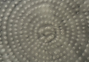 Monarch Specialties Accent Table – Modern Hand-Crafted Hourglass Design for Glam Living Room or Bedroom Décor SILVER,GREY 20 L x 20 W x 22 H 