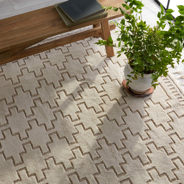 Jaipur Living Vibe by Jaipur Living Dawson Trellis Polypropylene Shag Rug Neutral Moroccan Fringe 10' x 14' RUG154416