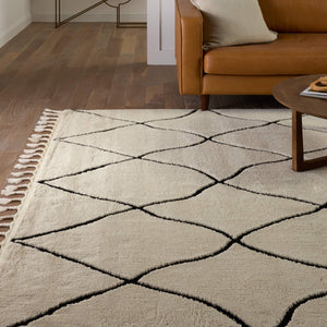 Jaipur Living Vibe by Jaipur Living Treble Bohemian Trellis Semi Shag Rug for Room Foyer 7'6" X 10' RUG154694