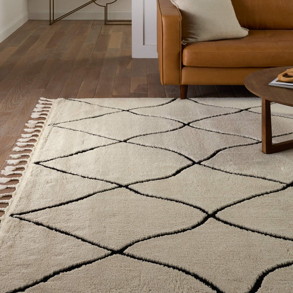 Jaipur Living Vibe by Jaipur Living Treble Bohemian Trellis Semi Shag Rug for Room Foyer 7'6" X 10' RUG154694