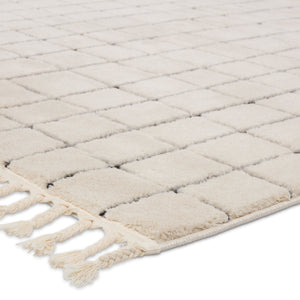 Jaipur Living Vibe by Jaipur Living Align Moroccan Grid High-low Pile Runner Rug for Hallways 10'X14' RUG156944