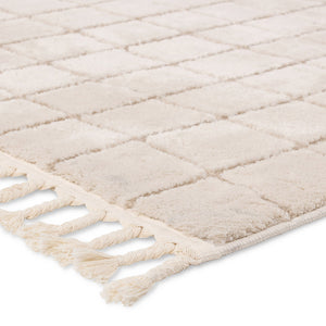 Jaipur Living Vibe by Jaipur Living Anton Geometric High Low Pile Indoor Rug with Braided Fringe 2'5"X10' RUG158954