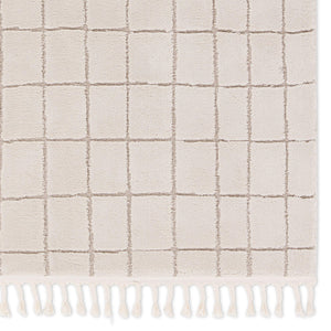 Jaipur Living Vibe by Jaipur Living Anton Geometric High Low Pile Indoor Rug with Braided Fringe 2'5"X10' RUG158954