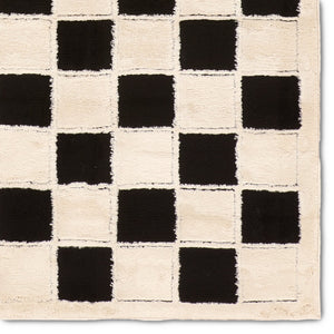 Jaipur Living Jaida Nicia Jid27 Powerloomed Machinemade 70% Polypropylene 30% Polyester Geometric Geometric Indoor Rug Ivory, Black 70% Polypropylene 30% Polyester Rug161941