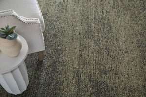 Feizy Rugs Jameson Distressed Polypropylene Area Rug Bohemian Living Room Floor Accent JMS39R8FDGN000E70