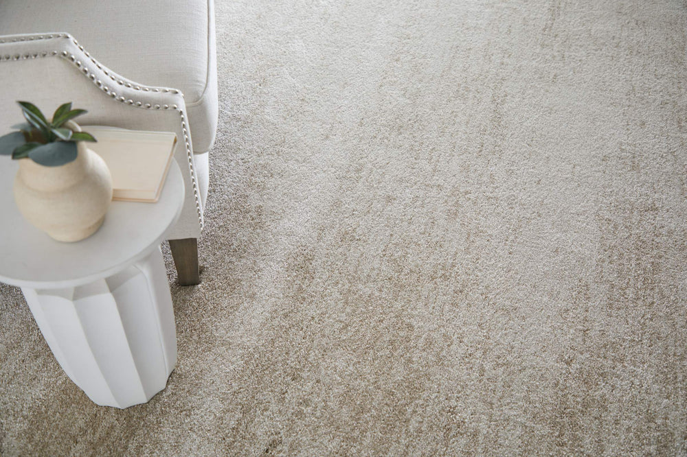 Feizy Rugs Jameson Distressed Polypropylene Area Rug Vintage Ivory Tone Living Room Floor Accent JMS39R8FLBG000E70