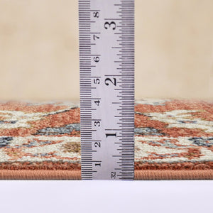 Amer Rugs Jordan Persian Bordered Power-loom Area Rug - Timeless Design, Easy-care, Soft & Durable Floor Art Orange Polypropylene Jor3110211