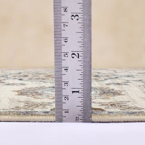 Amer Rugs Jordan Persian Bordered Power-loom Area Rug - Timeless Design, Easy-care, Soft & Durable Floor Art Ivory,Charcoal Polypropylene Jor9110211