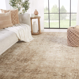 Jaipur Living Jaipur Living Vanja Wool Viscose Accent Rug Handloomed Medallion Vintage Neutral RUG149776