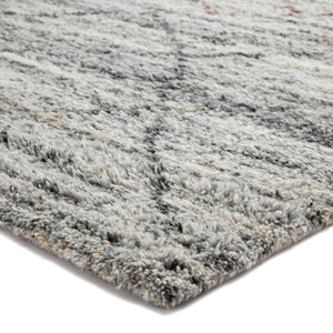 Jaipur Living Jaipur Living Kenzi Hand-knotted Trellis Plush Polyester Rug for Bedroom 5'X8' RUG142526