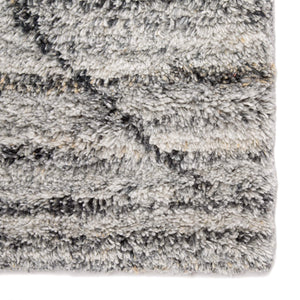 Jaipur Living Jaipur Living Kenzi Hand-knotted Trellis Plush Polyester Rug for Bedroom 5'X8' RUG142526