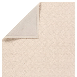 Jaipur Living Kira Ankine KIR01 Handmade Handwoven Indoor Rug Beige 10' x 14'