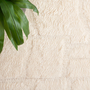 Safavieh Kenya 227 KNY227 Handwoven  Rug Ivory KNY227A-8