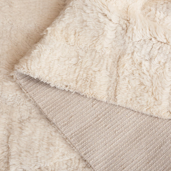 Safavieh Kenya 227 KNY227 Handwoven  Rug Ivory KNY227A-8