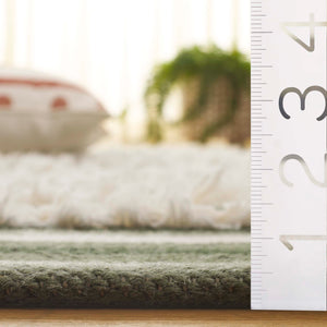 Safavieh Kenya Hand Woven Runner Rug - Elegant Geometric Design For Hallways, Entryways, And Living Spaces Sage ,Ivory 80% Wool,20% Cotton Kny279w-5