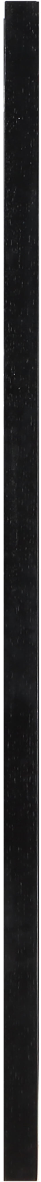 Kent Black Mirror KentBlack-M Meridian Furniture