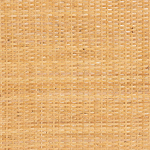 Bali & Pari Kiyoko Handwoven Natural Rattan Trifold Privacy Screen Boho Divider