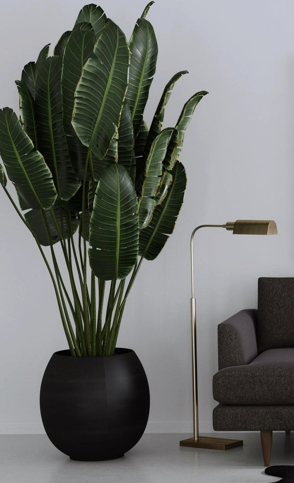 Basset Mirror Clatsop Floor Lamp - Antique Brass Elegance With Curved Shade For Timeless Contemporary Style Brass Metal L4495f