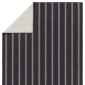 Jaipur Living Laguna By Barclay Butera Memento Lag04 Handwoven Handmade 100% Pet Yarn Contemporary Stripes Outdoor Rug Blue, Ivory 100% Pet Yarn, 100% Polypropylene Rug157511