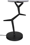 Arizona Lamp with Shade LAMP790SH Matte Black Noir