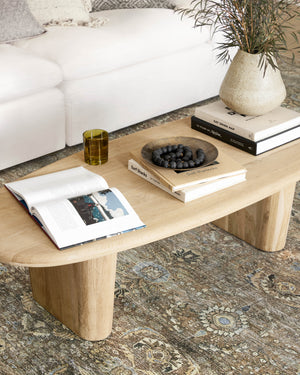 Loloi II Layla LAY-13 Area Rug - Timeless 100% Polyester, Power Loomed Traditional Elegance 10x14