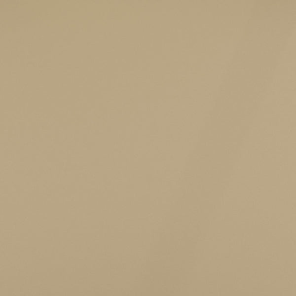 English Elm HERCULES Child Size Transparent Chiavari Chair – Elegant, Durable Seating for Events & Everyday Fun Gold LE-L-7K-GD-GG