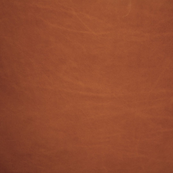 Noir Amadeus Sofa in Luxurious Roman Red Leather - Timeless Style & Comfort for Any Living Space LEA-AS005RR