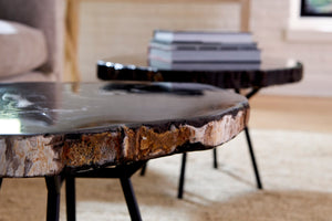Phillips Collection Petrified Wood Coffee Table - Unique Fossilized Art Piece From Indonesia For Stunning Home Decor Black,Gray Petrified Wood Id114671