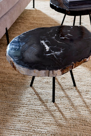 Phillips Collection Petrified Wood Coffee Table - Unique Fossilized Art Piece From Indonesia For Stunning Home Decor Black,Gray Petrified Wood Id114671