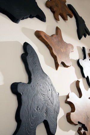 Phillips Collection Freeform Teak Wall Slice Art - Unique Natural Wood Decor For Statement & Gallery Walls, Handmade Black Wood ,Teak Id114684