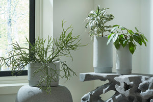 Phillips Collection Harvest Contemporary Planter With Clean Lines And Unique Design For Modern Gardening Aesthetics Gray Resin Composite Ph100223