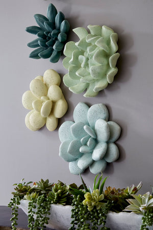 Phillips Collection Topsy Turvy Succulent Wall Art - Modern Organic Floral Sculpture For Unique Home Décor Displays Green Resin Ph104153