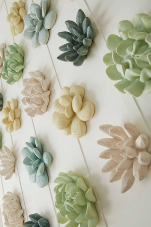 Phillips Collection Oviferum Succulent Wall Art - Modern Floral Sculpture For Unique Gallery Displays & Organic Style Yellow Resin Ph104155