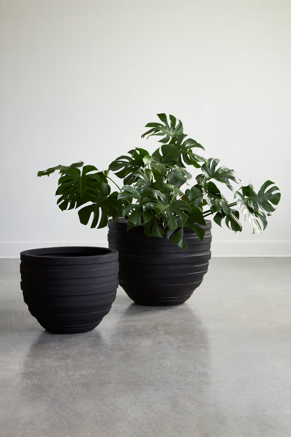 Phillips Collection June Large Planter - Striking Matte Finish With Contemporary Design For Elegant Garden Display Black Resin Ph114652