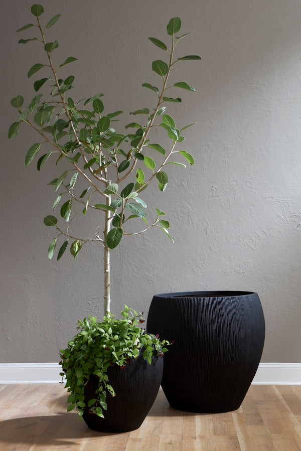 Phillips Collection Filament Planter - Contemporary Composite Design With Drainage For Elegant Garden Accents Indoors Black Resin Composite Ph114675