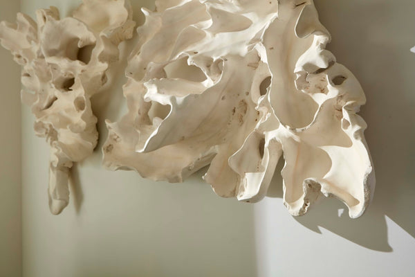 Phillips Collection Contour Cast Root Triangle Wall Art - Lightweight Faux Bleached Decor For Indoor & Outdoor Spaces Off White Resin Ph118731