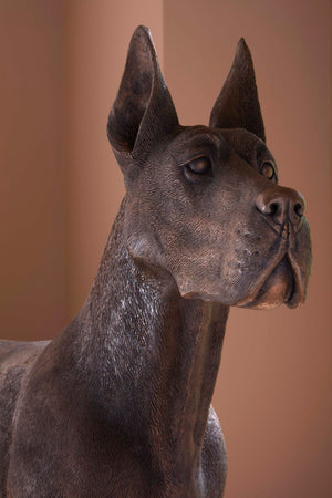Phillips Collection Great Dane Sculpture: Stunning Bronze Art Piece Of Playful Elegance For Home Or Garden Décor Brown Resin Ph119127