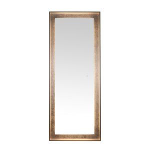 Safavieh MONTAUK, 26 Inch Contemporary LED Mirror - Elegant Design for Bathrooms, Entryways, and More Silver Grey / Silver Leaf LMR1015A
