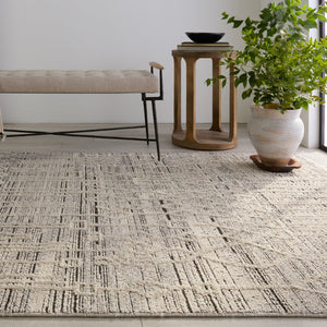 Jaipur Living Lore Caiya Lre02 Powerloomed Machinemade 70% Polypropylene 30% Polyester Moroccan / Bohemian Trellis Indoor Rug Gray, Cream 70% Polypropylene 30% Polyester Rug155331