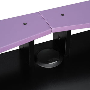 English Elm Full-Size Gaming Loft Bed with RGB Lighting Desk Wardrobe and USB Charging Hub Purple LT000459AAI