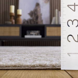 Safavieh Lunara Power Loomed Polyester Area Rug Ivory Beige Traditional Turkish Woven LUA316B-5