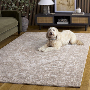 Safavieh Lunara Turkish Power Loomed Polyester Area Rug Neutral Ivory Soft Textured Living Room LUA316E-5