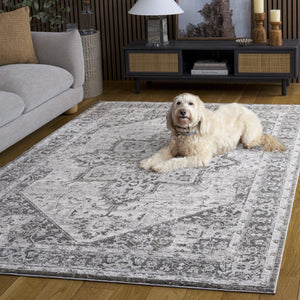 Safavieh Lunara Power Loomed Polyester Area Rug Traditional Ivory Grey for Living Dining Rooms LUA318F-5