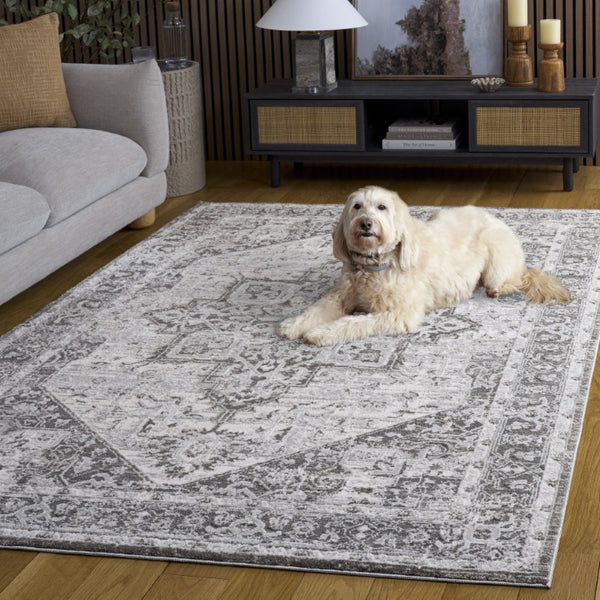 Safavieh Lunara Power Loomed Polyester Area Rug Traditional Ivory Grey for Living Dining Rooms LUA318F-5