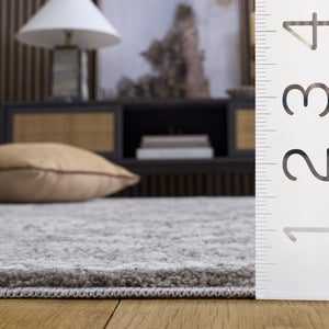 Safavieh Lunara Traditional Polyester Area Rug Ivory Grey Neutral Tones for Living Room Decor LUA318F-9