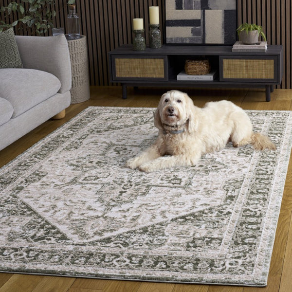 Safavieh Lunara Power-Loomed Polyester Area Rug Traditional Pattern for Living or Bedroom LUA318Y-5